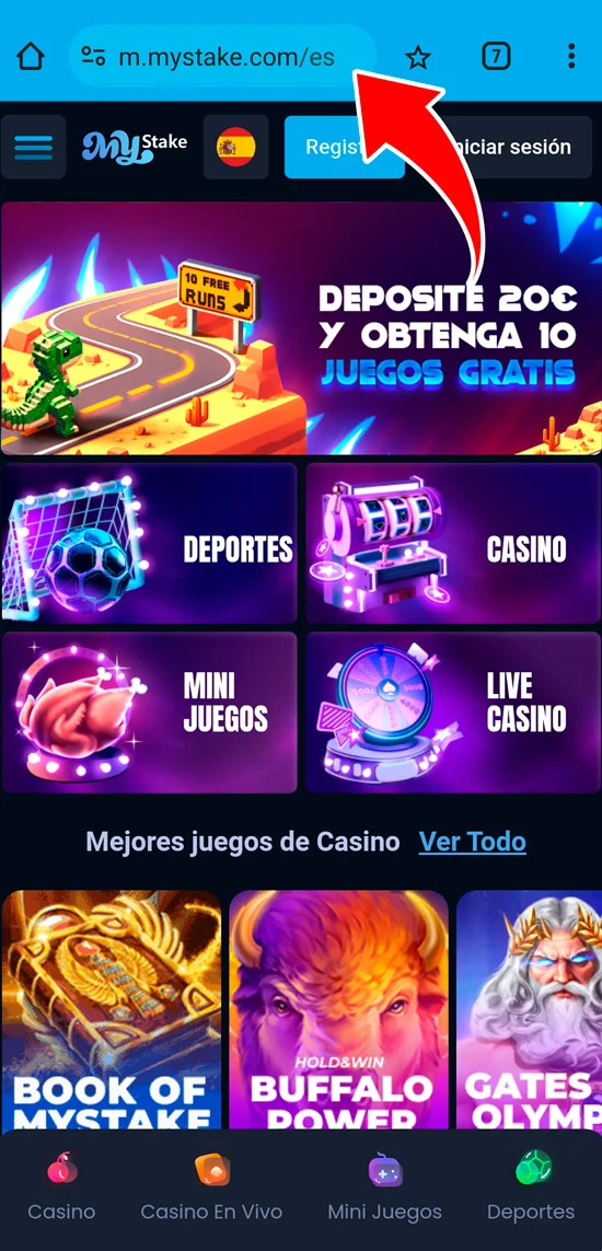 Ir a la página oficial de MyStake, paso 2