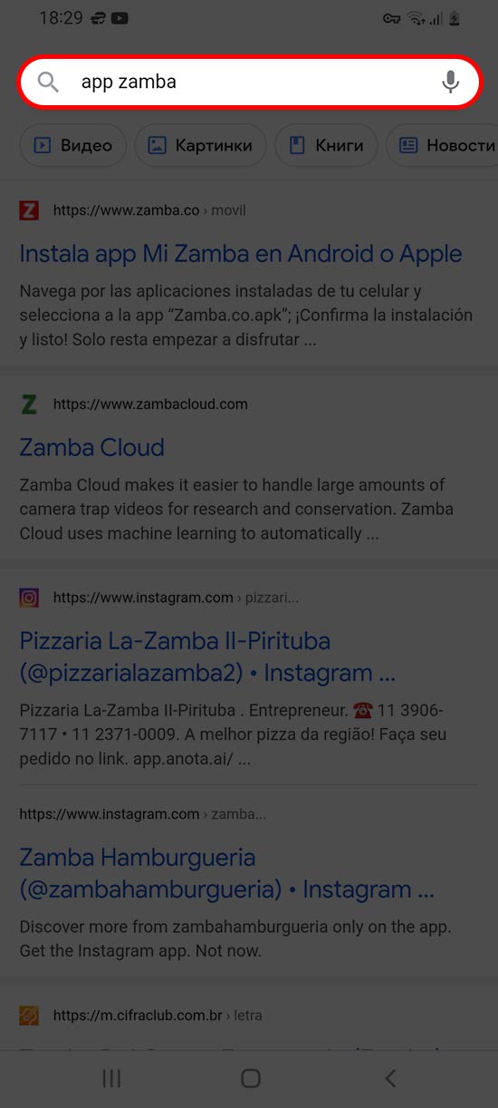 Introduzca la solicitud de App Zamba en la barra de búsqueda de su navegador